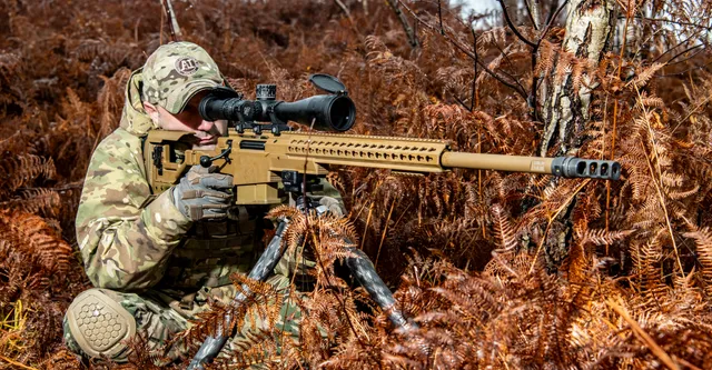 Accuracy international armes