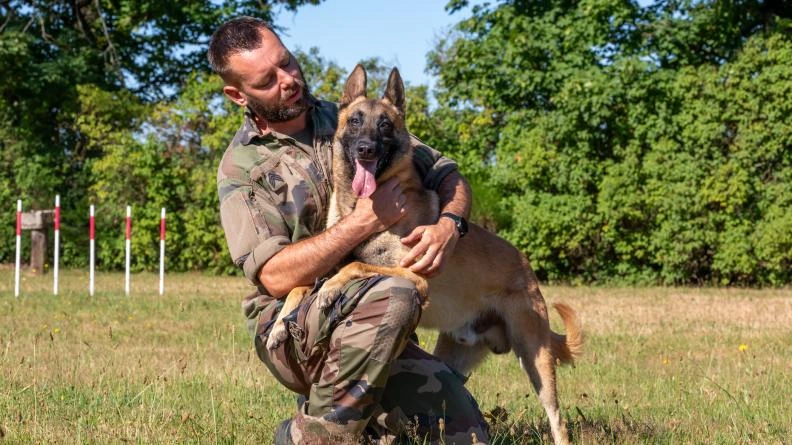 Évaluation chiens SPA centre militaire